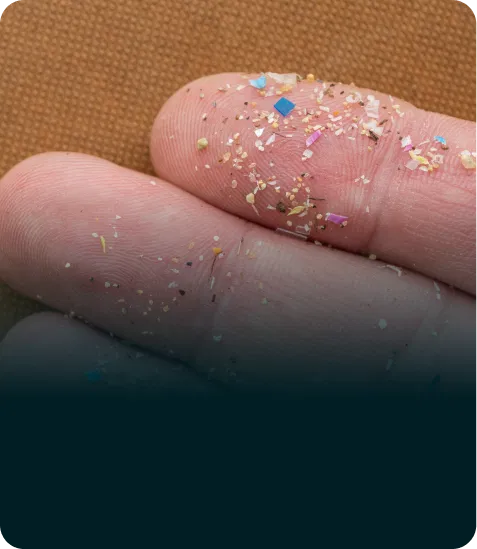 Mikroplastiki mogą powodować poważne długoterminowe problemy zdrowotne